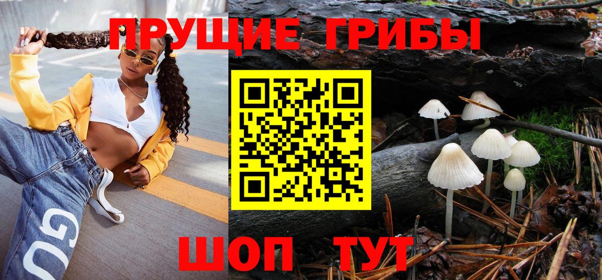 Галлюциногенные грибы Psilocybe Малоярославец