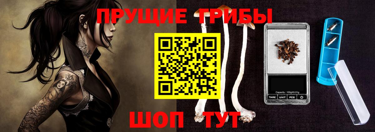 Малоярославец  что такое   Вход с VPN  Псилоцибиновые грибы ЛСД 